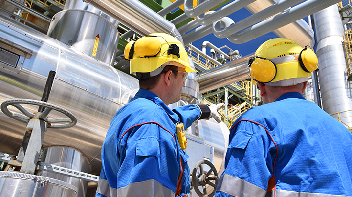 Site inspection within a refinery